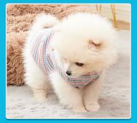 Chaleco De Verano Para Perros Pequeños Y Medianos Ropa De Alivio Del Calor En Algodón Moda Para Puppies Adecuado Para Chihuahua York Pet Supplies - details 8
