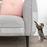 Cinta Protectora Para Muebles Anti-Rasguños Para Gatos 3/5/10M Transparente Para Sofá Silla Alfombra Puerta Protección De Entrenamiento De Gatos - details 4