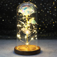 Rosa De Boda Con LED Galaxia Enchanted Con Luz En Domos Regalo De San Valentín Navidad Día De La Madre Belleza Y La Bestia Para Interior - details 7