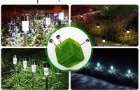 12Pack Luces Solares Para Jardín Lámparas De Hierba Impermeables Iluminación De Paisaje Exterior Decoración De Jardín Con Fuente De Energía Solar - details 2