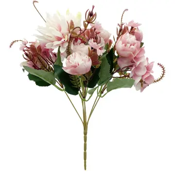 pedonia 