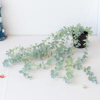 Plantas Artificiales Colgantes Con Maceta Vinateras Decorativas Para Escritorio Exterior Oficina Sin Personalizar Material Plástico - details 3