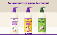 Rcocio Champú Perros Piel Sensible Aloe Vera | Hidratación Profunda | 1 Litro - details 0