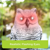 Dispositivo De Control De Aves Con Owl Falso Y Ojos Que Parpadean Sonido Asustadizo Estatua De Owl Realista Para El Jardín - details 1