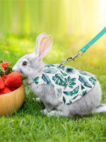 Conjunto De Ropa Para Mascotas Estilo Impresión Transpirable Para Conejos Y Perros Uso Al Aire Libre Correa Y Collar Personalizado - details 8