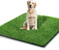 Thayba Alfombra de Césped para Perros 40 Mm 80 Cm X 100 Cm - Ignífuga, Impermeable y Fácil de Limpiar - details 3