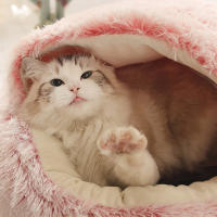 Nueva Cama De Gato Y Perro Caliente Redonda De Peluche Larga Casa De Gato Para Gatitos Almohadilla De Manta Para Mascotas Pequeñas Chihuahua - details 8