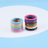 5Pcs/Lote Anillos Metálicos Abrepuertas 21 Colores Clip De Cadena Para Perros Conector De Joyería DIY Hebilla De Llavero Con Resorte - details 1