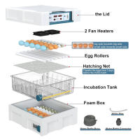Incubadora de huevos 120, incubadora de huevos derecho para incubar pollitos, volteador automático de huevos con control de temperatura ,5 modos de incubación automáticos - details 7