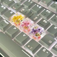 4pcs/set Teclas De Resina Transparencia DIY Flores Personalidad Accesorios Para Teclado Y Ratónkk-Cokio - details 8