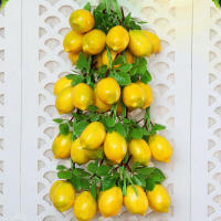 2pcs Decoración De Pared De Jardín Artificial Naranja 52CM Frutas Artificiales Para El Hogar Y Fotografía Propiedades De Interiores Y Exteriores - details 1