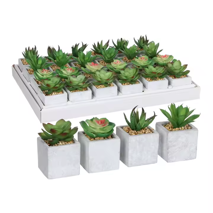 SUCULENTA VERDE MODELOS SURTIDOS. 4 MODELOS DIFERENTES. PRECIO POR UNIDAD - 1