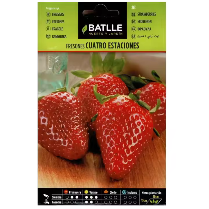Batlle - FRESONES 4 ESTACIONES SOBRE - 1