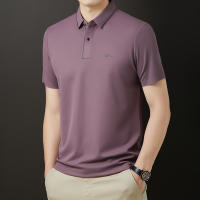 Camisa POLO De Verano Para Hombre Con Estampado De Letras Corta Resistente Al Arrugas Transpirable Ropa Casual SPANDEX Polyester - details 20