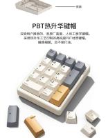 Teclado Numérico Mecánico Magic-force MF17 Con Cable Y Tipo-C RGB QMK/VIA Externo Para Notebook Finanzas Caja Registradora Regalo - details 7