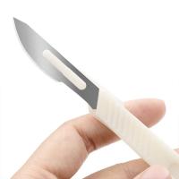 Cuchillo Para Pan Frances Eco-amigable De Acero Inoxidable Herramientas De Hornear Y Pastelería Con Patrón Diseño De Gadget De Cocina - details 5