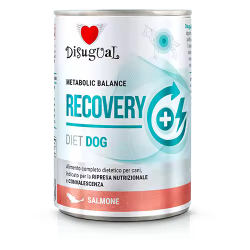 Disugual Perros en recuperación sabor Salmón 400 gr - 1