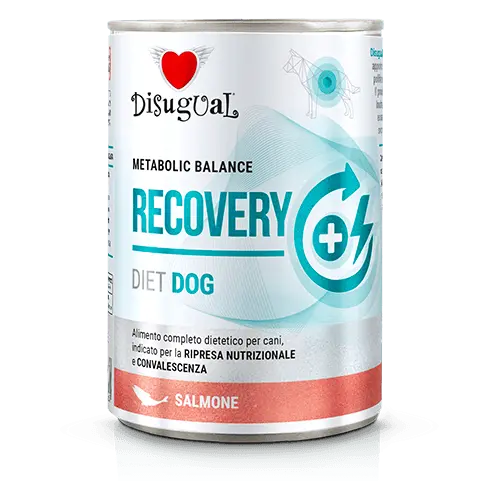 Disugual Perros en recuperación sabor Salmón 400 gr - 1