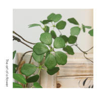 Rama De Planta Artificial De Loto Guanyin 90Cm Hojas De Loto Para Decoración Zen Interior Arreglo Floral Silken Sin Químicos - details 9