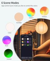 Bombilla LED Inteligente Tuya 220V E27 Bluetooth Con Control Remoto RF 2.4G Luz De Ambiente RGB Ampolleta Inteligente Para El Hogar - details 9