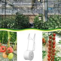Juego De 6 Soportes Para Plantas De Jardín Con 15m De Cuerda De Apoyo Para Tomates Y Flores Herramienta Para Valla De Jardín - details 3