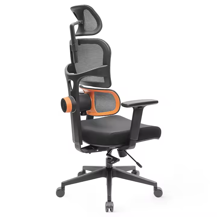 NEWTRAL NT001 Silla Ergonómica Soporte Lumbar Adaptable 3 Ángulos de Reclinación Respaldo Ajustable Reposabrazos Reposacabezas 5 Posiciones de Bloqueo Base de Nailon - 1