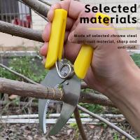 Tijeras De Podar Para Árboles Portátiles De Alta Carbono Herramienta De Enraizamiento Para Jardín Y Plantas En Macetas Corte De Ramas Y Aro De Árboles - details 1