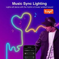 Luces De Neón LED RGBIC Dreamcolor Strip Con Control Remoto Por App Luz Flexible Cambiante De Colores IP68 Para El Hogar - details 9