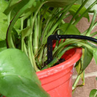 Kit De Riego Por Drip Para Invernadero Sistema Automático De Riego Para Jardín Con Repartidor De Riegos De 4 Caminos Para Plantas En Macetas Vegetales Bonsái De 4/7mm a 3/5mm - details 6