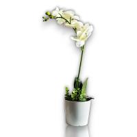 Maceta Orquídeas Artificiales - 43cm - Karawan. - details 2