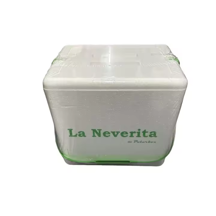 Nevera de Poliestireno.Ligera, eficiente y Resistente Que Puedes Llevarte a la Playa y al Campo.13L/21L/31L - 1