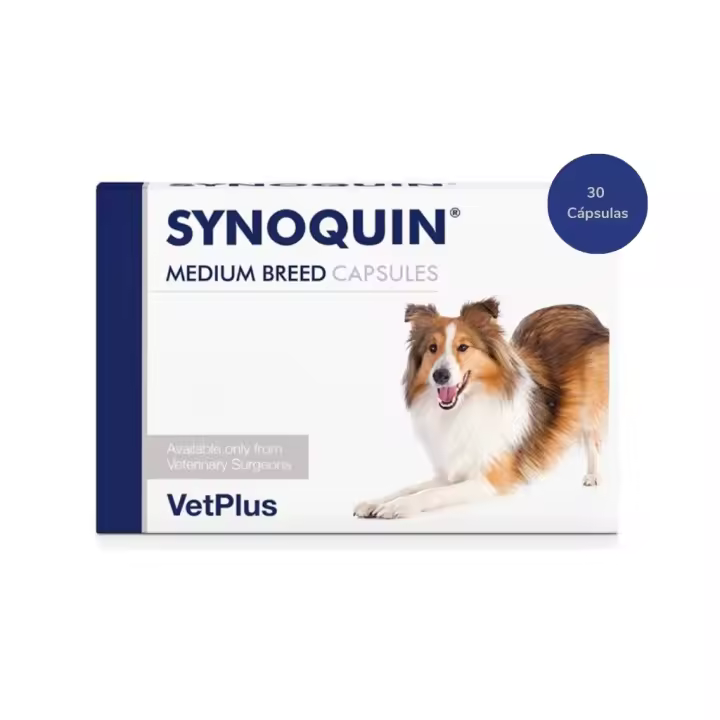 VETPLUS - Synoquin - Condroprotector para Perros de Raza Mediana entre 10-25 kg (Cápsulas) - 1