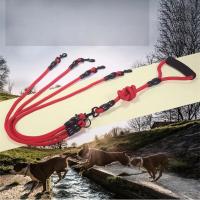 Correa De Nylon Para Dos Cabezas De Perro Dual 2 Maneras Correa De Manos Juntas Para Caminar Con Dos Perros Correa De Collarín Para Animales De Estimulación Física - details 2