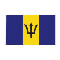 Bandeera De Barbados 90x150 CM FLAGLINK Para Decoración Material POLYESTER Estilo Impreso Uso Decorativo - details 0