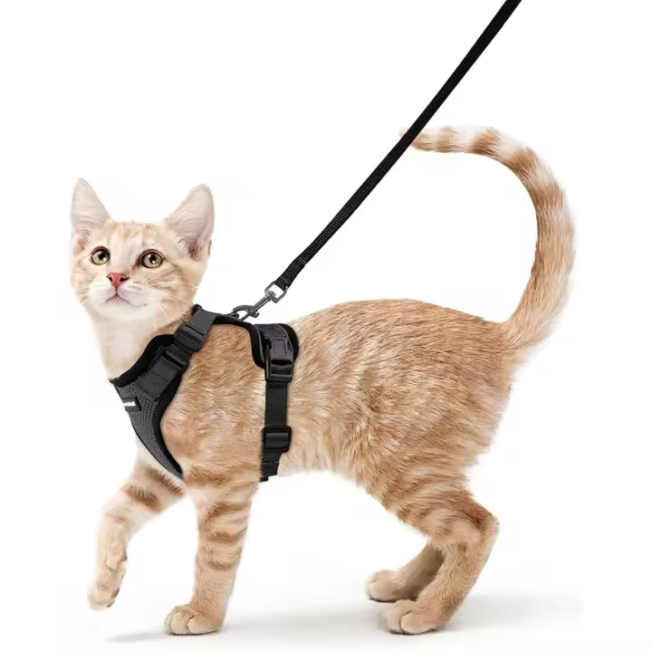 Arnés y Correa para Gatos, a prueba de fugas, With Anilla metálica para Correa, Ligero, Afable, reflectant, adjustable, Talla S, Negro - 1