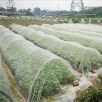 Red De Protección Para Plantas Y Flores Red De Insectos Y Pájaros PVC 6/10M Largo Control De Plagas Y Enseña En Jardín - details 0
