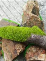 Polvo De Hierba Artificial Para Juego De Arena Y Modelos 30g/Bolsa Material De Planta Micro Landscape Para Construcción De Paisaje Práctico - details 1