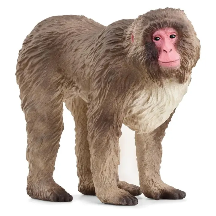 Figura de macaco japonés de la línea Wild Life de Schleich 14871 - 1