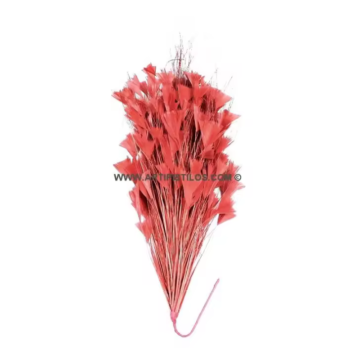Montaje de Plumas de Gallo y Avestruz Quemado 1 Calidad 30x15cm - 1