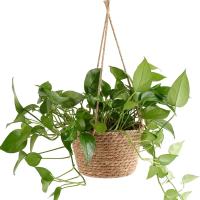 Juego De 1 Macramé De Algodón Jute Para Colgar Plantas En Interior Y Exterior Soporte De Rama Para Macramé De Jardín - details 5