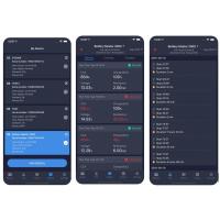 Monitor De Batería Bluetooth QUICKLYNKS BT2000 12V Para Android IOS PK BM200 pro Prueba De Encendido Y Carga 100-2000 CCA Compatible Con Baterías De Agua Y Gel - details 0