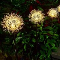 Lámpara Solar De Jardín Con Balón De Hierro Y Remolinos Flor LED Exterior Impermeable Decoración De Noche Para Atrio Artística - details 5