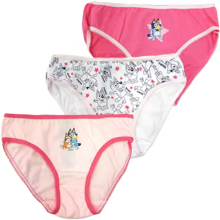 Pack 3 Braguitas de Niña Bluey, Ropa Interior Niñas de 2 a 6 años Bluey y Bingo, Braguitas Infantiles 100% Algodón, Regalo Cumpleaños, Navidad, Reyes - 1