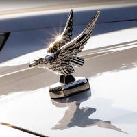 Emblema De Águila 3D Para Decoración Exterior De Coche Adorno Para Capó Frontal Colección De Accesorios De Modificación De Automóviles - details 3