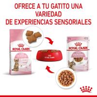 Royal Canin Humedo Kitten Sterilized 12X85g - details 3