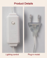 Luces De Cadena LED USB Para Decoración Externa E Interior Con Control Remoto Y 8 Modos Dimmer Para Jardín Boda Fiesta - details 8