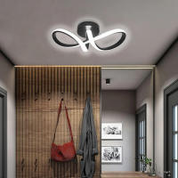 Luz De Techo LED Moderna En Colores Negro Y Oro Para Decoración Interior Adecuada Para Fóridos Pasillos Entradas Y Balcones - details 5