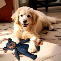 Oso De Peluche Con Silbato Para Perros Juguetes Resistentes Y Squeaky Para Masticadores Agresivos Apta Para Todas Las Raças De Perros - details 6
