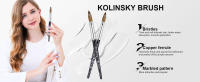 Cepillo De Uñas De Acrílico Shine Chance Puro Kolinsky Oval Para Extensión De Uñas Profesional Material De Cerdas De Kolinsky Origen China - details 6