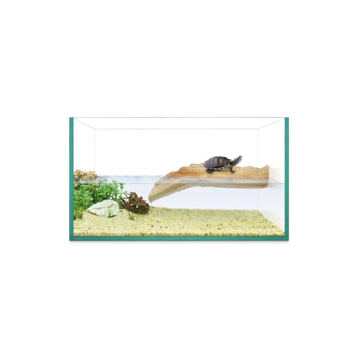 KIT tortuguera ISLA de REPTI SELVA 30 - REPTI-SELVA  transparente Reptiles 18x15x30cm - 1